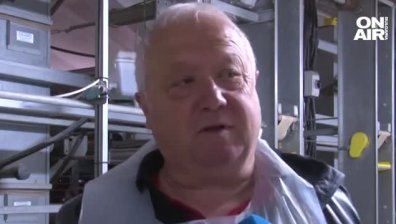 Птицевъди пред фалити: Искат помощ от държавата заради скъпия ток и фуражи