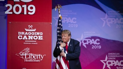 Учени: Прегръдките са полезни за тялото и душата, дори ако са с дървета