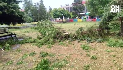 Сутрешна емисия