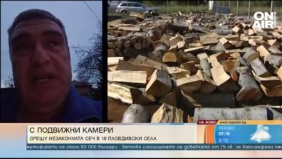 Кметове на пловдивски села борят незаконната сеч с фотокапани
