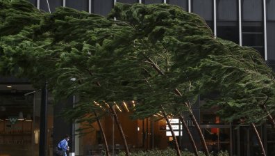 Преминаваща през Карибите буря "Лаура" ще се засили до ураган