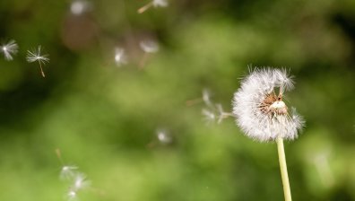 Жълт код за силен вятър, а на места ще вали и дъжд