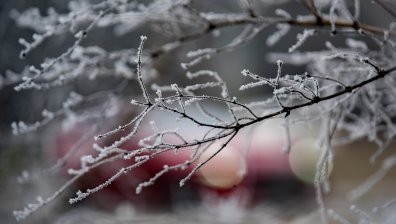 Истинска зима на 12 януари: Студено време с отрицателни температури