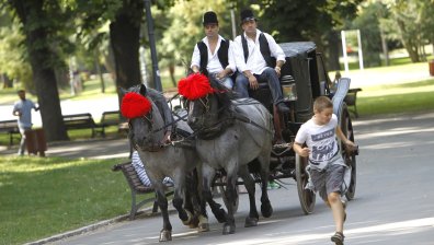 За празника 135 години Борисова градина - разходка с файтон от 20 век