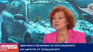 Застрахователните компании у нас са били готови да реагират веднага след градушката