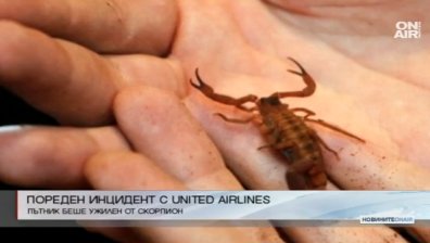 Инцидентите с United Airlines нямат край: Скорпион ужили пътник
