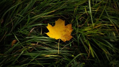 Няколко зодии ще имат магическа есен