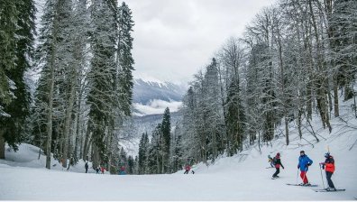 Зима в чужбина: Все повече туристи избират различни дестинации