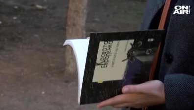 Приключенията на кравата-беглец Пенка оживяха в книга