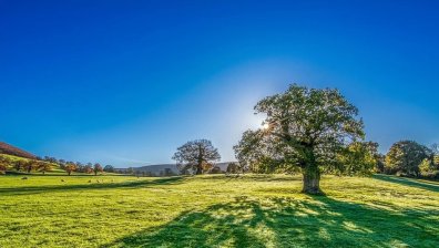 Опасни горещини, жълт код за опасно време и утре