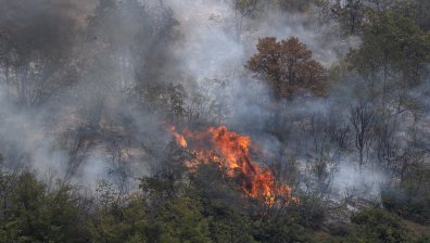 4700 души са евакуирани в Турция заради големите горските пожари