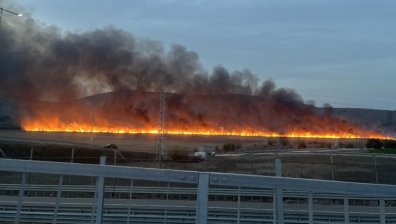 Голям пожар при Алдомировското блато (ВИДЕО)
