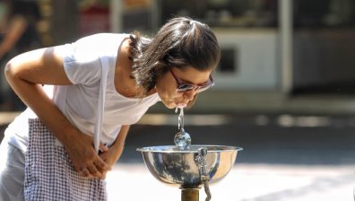 Евростат: България е водеща в ЕС по здравословен живот