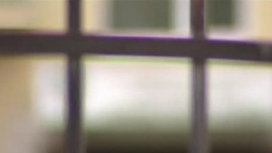 Арестуваха холандка в Белград заради връзки с ислямистка клетка