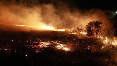 Война с огъня: Над 300 пожара за една нощ у нас, къщи са изпепелени