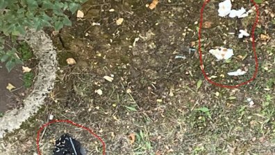 Helpbook: Градинката на община Красно село е превърната в обществена тоалетна 