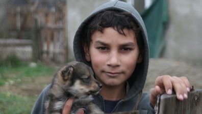 Международен ден на ромите