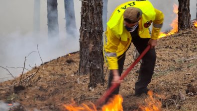Два хеликоптера гасят стихията, обхванала над 2 хил. дка. гора край Панагюрище