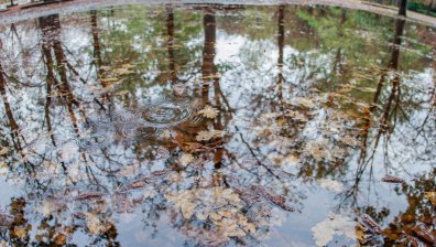 Днешната сряда ни носи дъжд, по планините - мокър сняг
