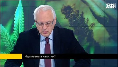 Велизар Енчев: В 22 държави от ЕС марихуаната за медицински цели е легализирана