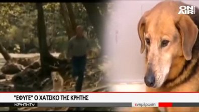 Почина кучето, известно като гръцкия Хачико