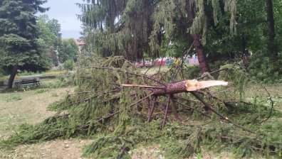 Ураган се изви над Търговище, тепърва ще описват щетите
