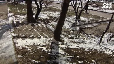 Нападателите на 15-годишното момче, което беше пребито в София, направили самопризнания