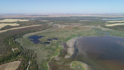Спасиха езерото Сребърна от пресъхване