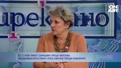Любов Панайотова: Санкциите на ЕС срещу Русия няма да спрат военните действия