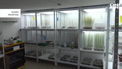 Завършват първия у нас Център по растителна системна биология