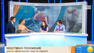 Криза с африканската чума: Липсват екарисажи за унищожаване на труповете
