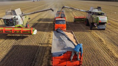 Русия очаква рекордни добиви на зърнени култури