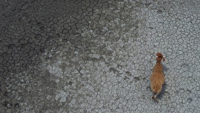 "Серо Прието" в Мексико: Кравите вървяха по дъното, а днес отново има риба (СНИМКИ)