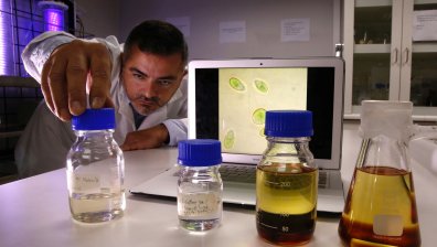 САЩ са лидер в производството на биогорива през 2018 г.