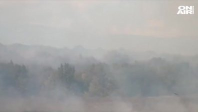 Пожар край Хасковско застрашава да изпепели борова гора