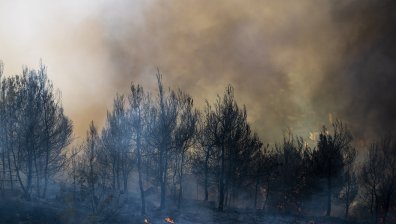 Огромен пожар в Ливан, стотици хора са застрашени, петима са в болница
