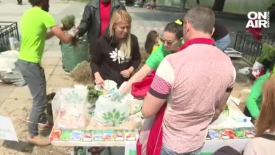 В София раздават милиони цветя, за да подпомогнат съществуването на пчелите