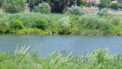 МОСВ с важна информация за повишенията на речните нива