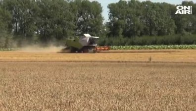 Житницата на България е изправена пред колапс