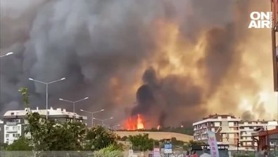 Обедна емисия