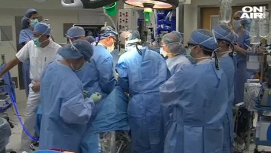 Жена роди след трансплантация на матка от мъртъв донор