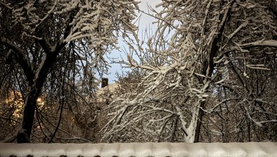 Частично бедствено положение в Смолян и тежка зимна обстановка във Великотърновско (+ВИДЕО)