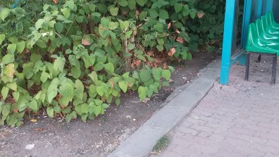 Боклуци, сметище, смрад - спирката на метростанция "Сливница"