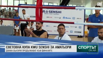 Централна емисия