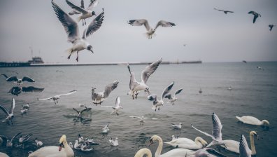 Каква е тайната на наистина успелите хора?