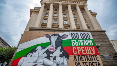 "Плач, който никой не чува": Актьори, музиканти, спортисти, инфлуенсъри защитават телетата