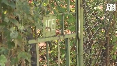 84 души на един адрес в ромския кв. "Максуда" - доволни, че не гласуват с машини