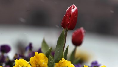 Времето днес: Студено утро и облачен следобед