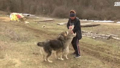 Жена е превърнала дома си в приют, за да помага на животни в нужда