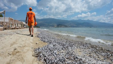 Плуването на Волос е забранено до излизане на лабораторните резултати